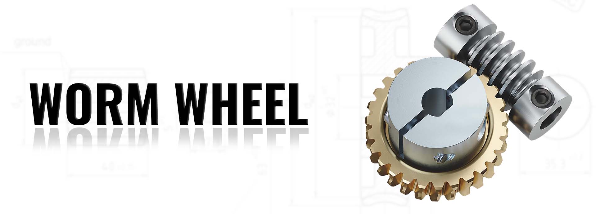 Worm Wheel