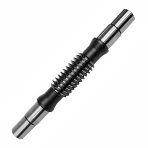 Worm Shaft In South Korea